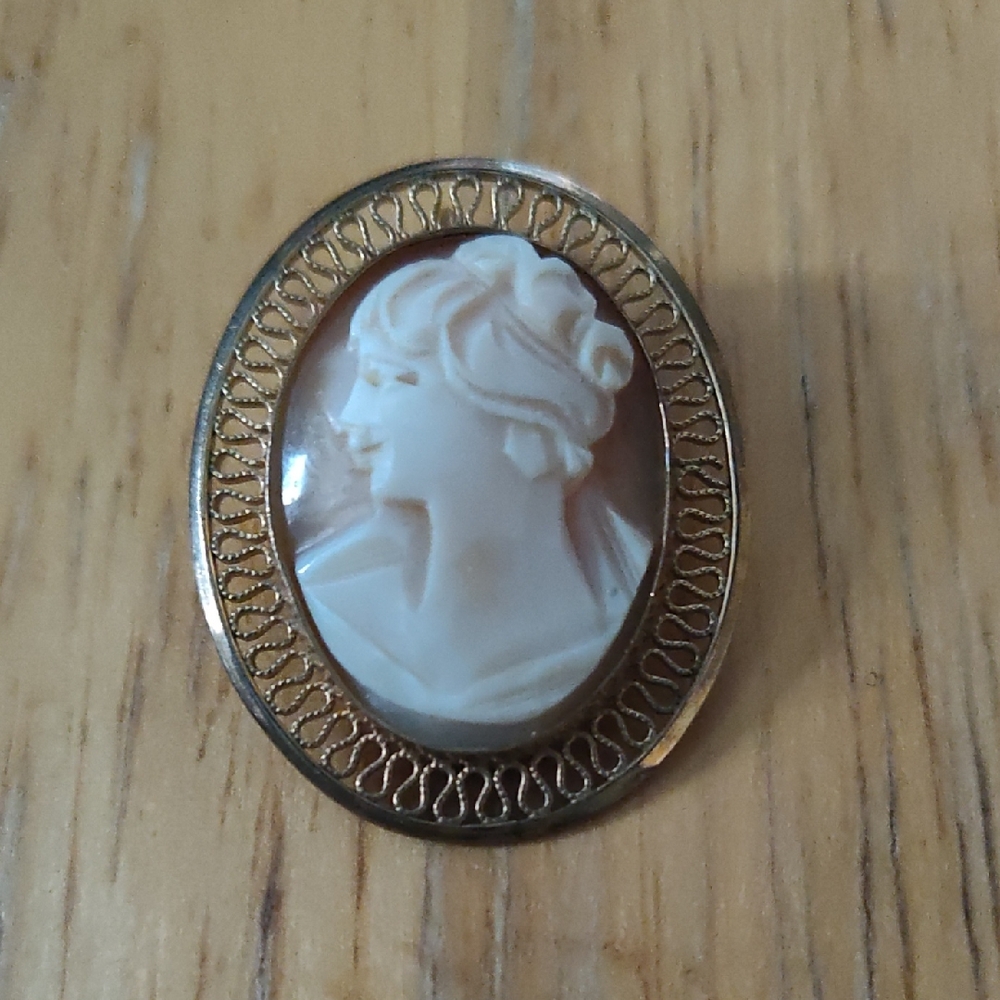 Wizard 12k Gold Filled Left Facing Cameo Pin / Pendant